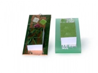 Decorazione carta su perspex